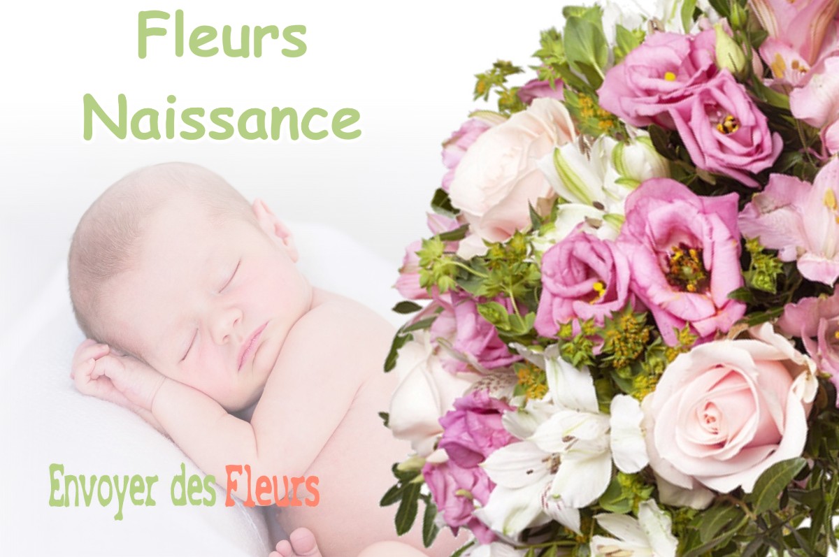 lIVRAISON FLEURS NAISSANCE à BUZET-SUR-BAISE